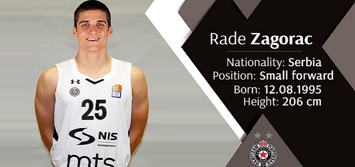 rade-partizan