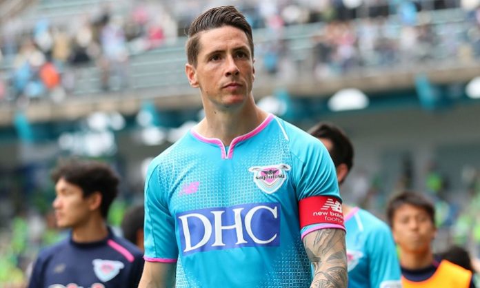fernando-torres