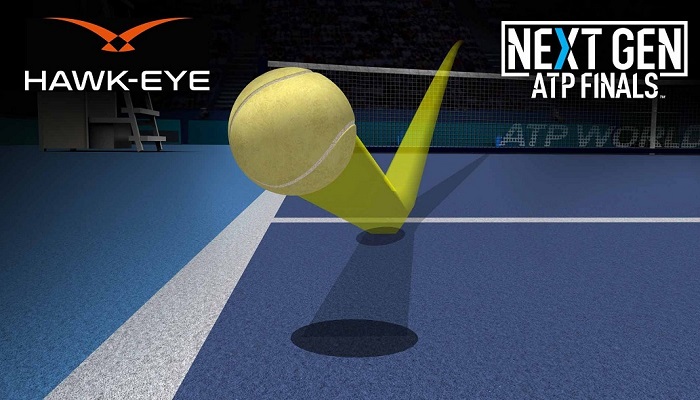 hawk-eye
