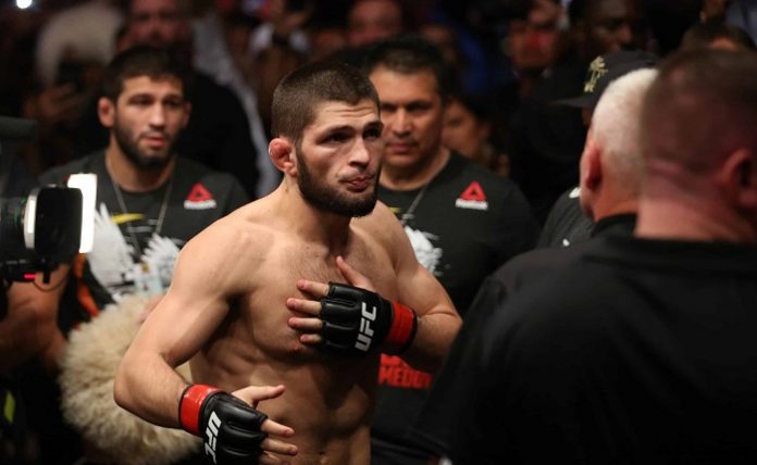 khabib nurmagomedov