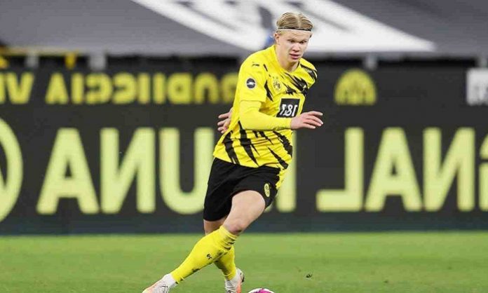 erling haaland