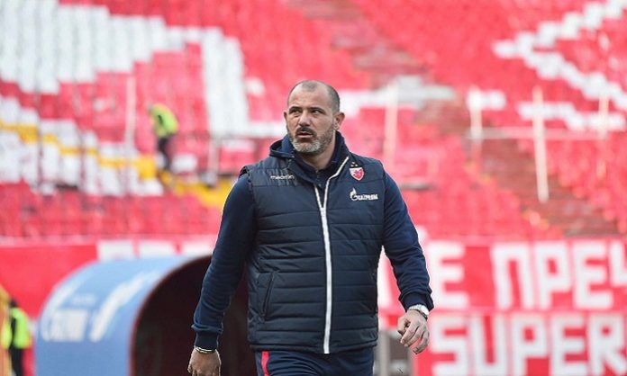 zvezda-stanković