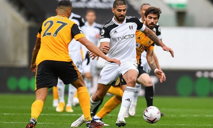 mitrovic